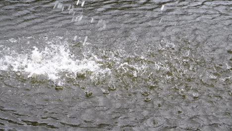 Gotas-De-Agua-Dispersas-En-Una-Masa-De-Agua-Más-Grande-Que-Producen-Salpicaduras-Y-Ondas