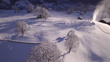 Levantando-La-Panorámica-Hacia-Abajo-Sobre-El-árbol-De-Arce-Sicómoro-En-La-Zona-De-Esquí-De-Bodmi-En-El-Paraíso-Montañoso-Grindelwald-En-Los-Alpes-Suizos