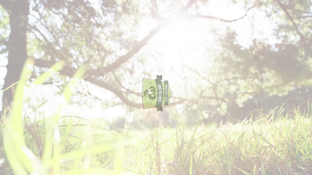 태양 위의 잔디와 나무의 애니메이션