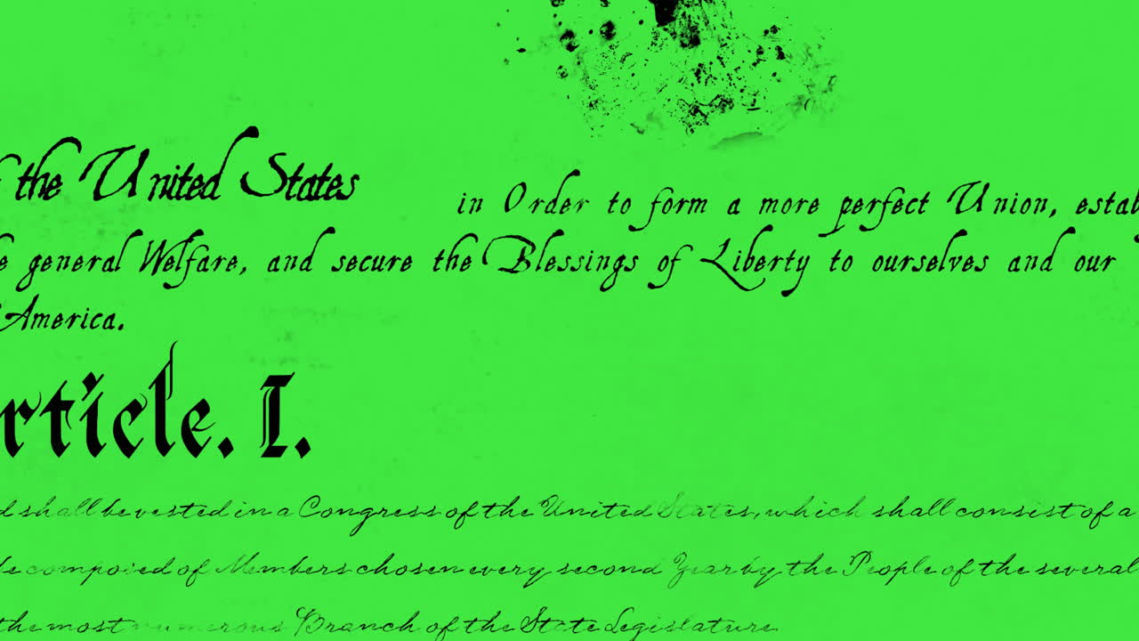 미국 헌법 4k