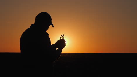 farmer and seedling at sunset