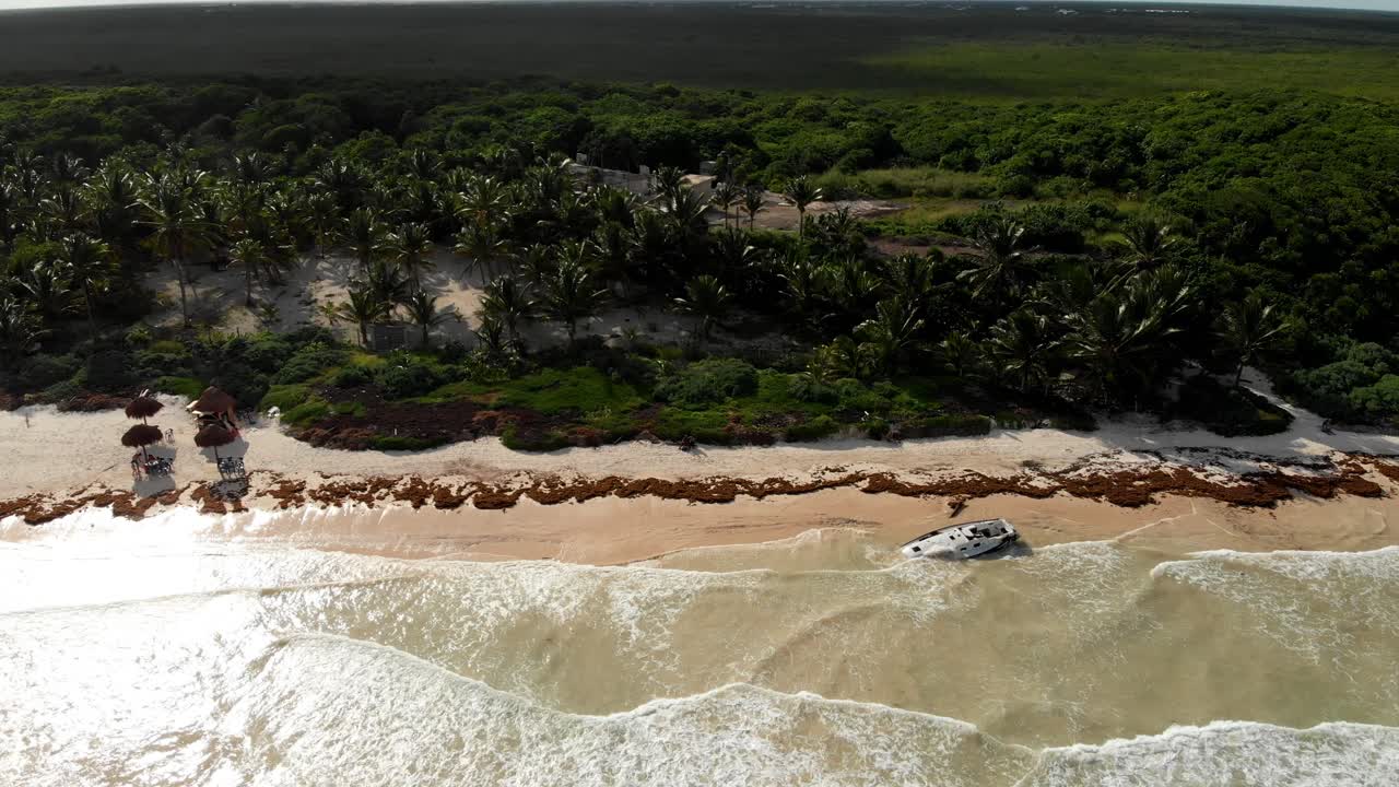 tiro de dron de barco naufragado en la playa de tulum con algas sargasso y árboles en el fondo