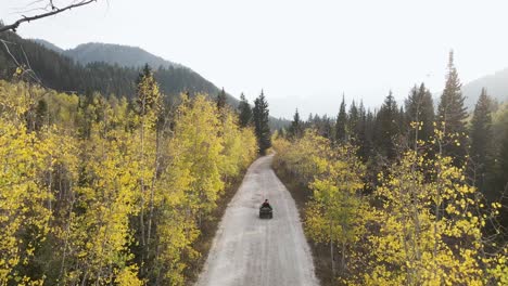 atv all terrain vehicle driving through mountain forest country road, aerial