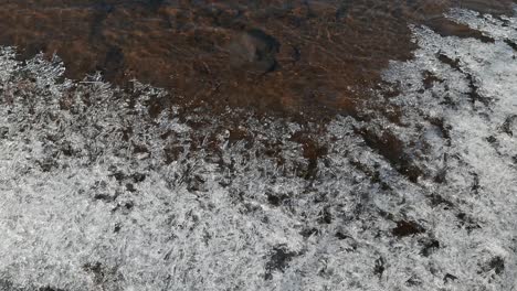 Hielo-Fino-En-El-Borde-De-Un-Río.