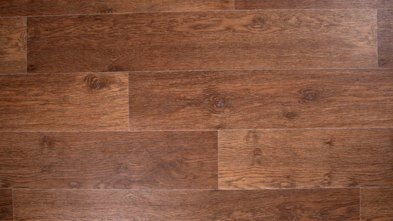 pedazos de pizza pasando en el cuadro, animación de movimiento de parada