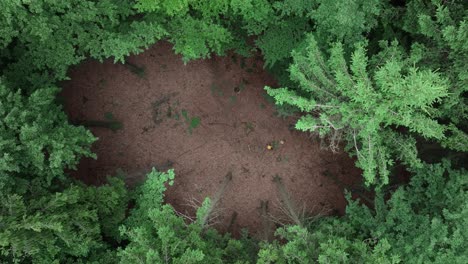 lonely man with a backpack crosses a forest clearing from a bird's eye view. a man on a journey to independence