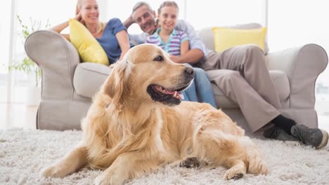 Animation-of-cute-labrador-pet-dog-with-happy-caucasian-family