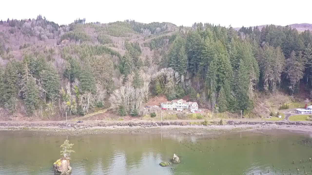 Volo con drone 1080p sopra un albero su una roccia in una baia