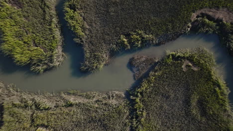 aerial view of marshland with water channels