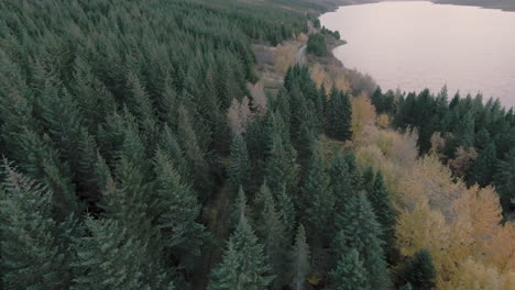 Autumn-forest-landscape-with-lost-house-and-red-van,-view-from-above