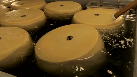 rotating parmesan cheese ripening in brine, parmigiano reggiano in salt water