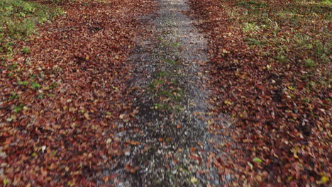 Drohnenschussverfolgung-Entlang-Des-Weges-Durch-Die-Herbstliche-Landschaft