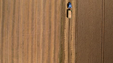 a tractor harvesting crops drives through farm rows