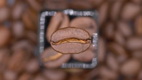 grano de café tostado único aislado contra un fondo borroso