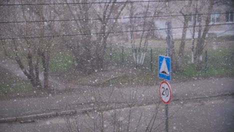 snowy street scene