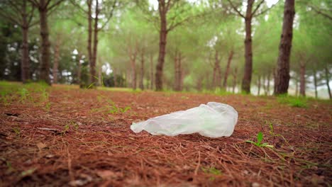 bolsa de plástico desechada en el bosque, contaminación y basura en la naturaleza