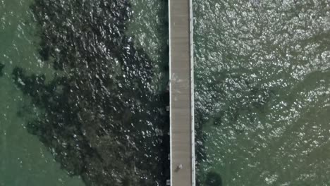4k aerial gimbal down pier on clear water