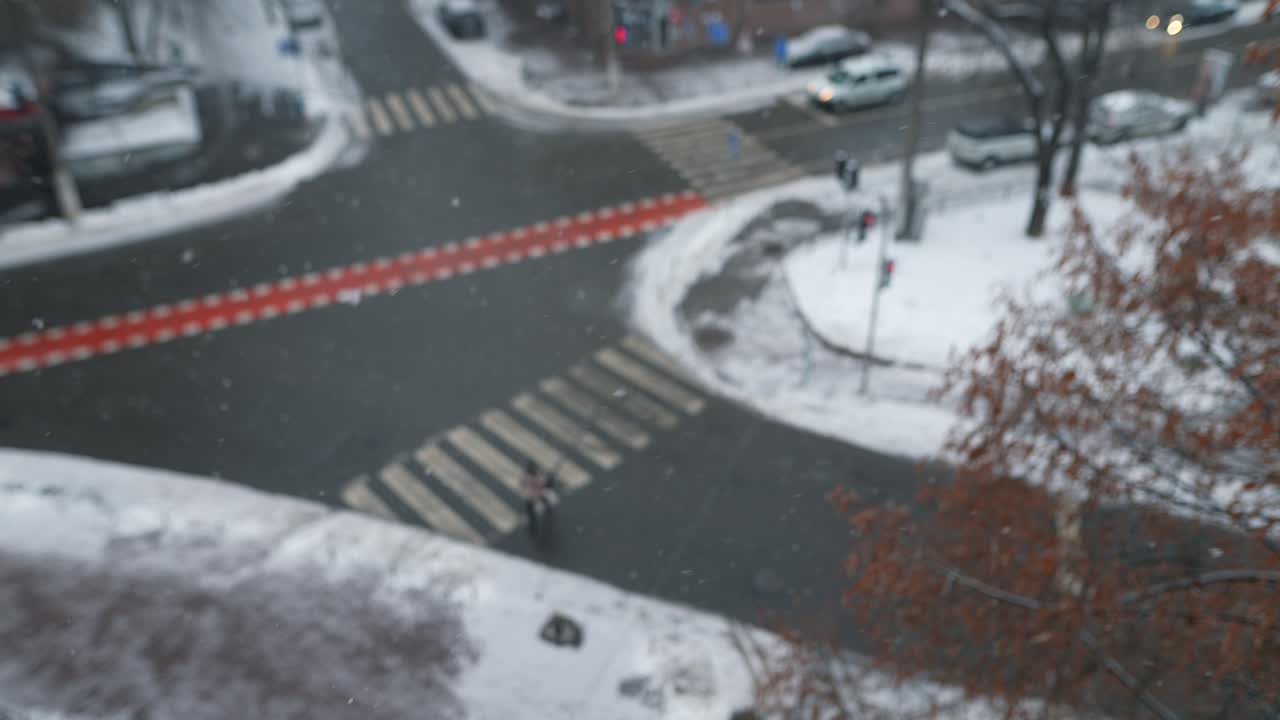 눈 인 도시 교차로