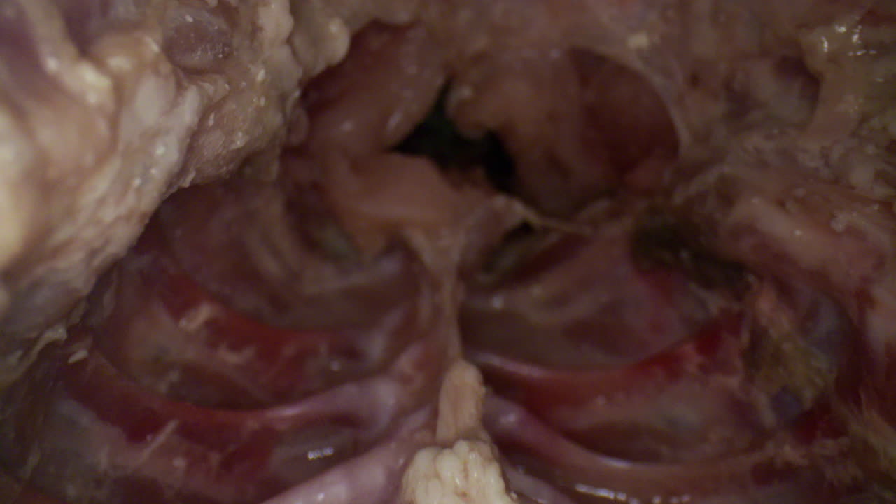 primer plano en el interior de un pavo crudo