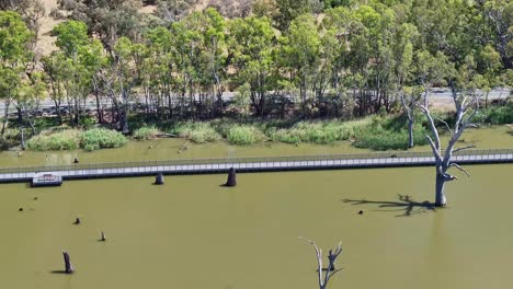 Antena-Junto-Al-Nuevo-Puente-Para-Caminar-Y-Andar-En-Bicicleta-Sobre-El-Lago-Mulwala,-Nueva-Gales-Del-Sur,-Australia