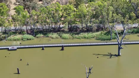 aerial junto al nuevo puente para caminantes y ciclistas sobre el lago mulwala, nsw, australia