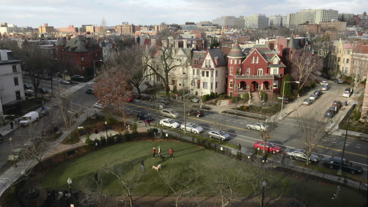 워싱턴 dc의 거리 개 공원을 사용하는 사람과 개들의 시간 경과