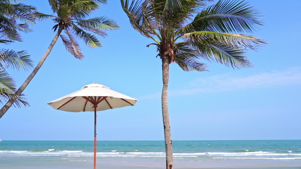 brisa de verano en destino tropical, sombrilla bajo cocoteros y horizonte marino