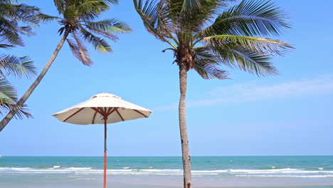 brisa de verano en destino tropical, sombrilla bajo cocoteros y horizonte marino