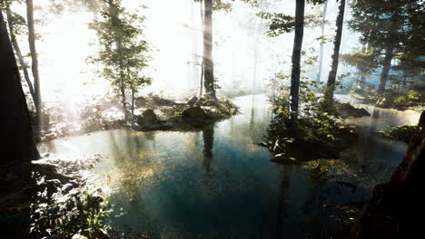 un amanecer brumoso sobre el bosque del lago