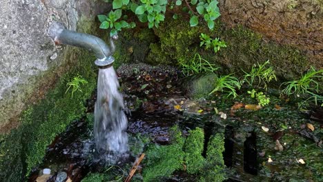 el agua fluye de la tubería hacia el drenaje de musgo