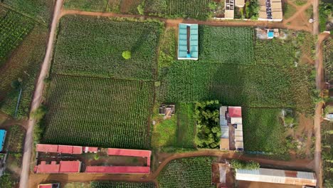 Granja-Tierras-De-Cultivo-Paisaje-Rural