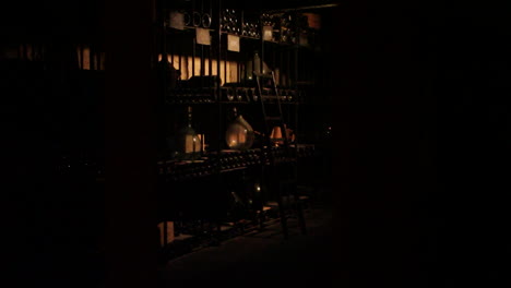 wine cellar with bottles on shelves