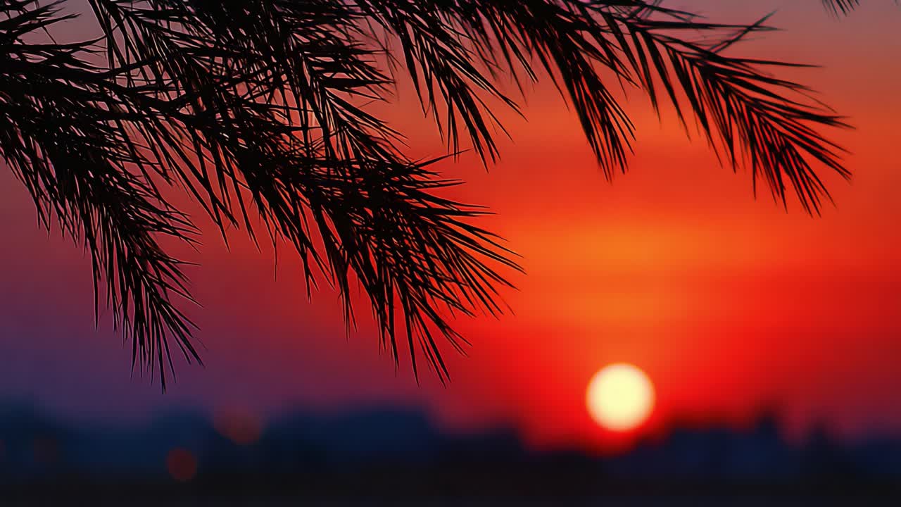 A breathtaking sunset silhouette framed by delicate palm leaves against a vivid orange and red sky, showcasing nature's beauty in a tranquil moment of twilight