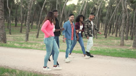 diverse group of friends walking and talking in a park