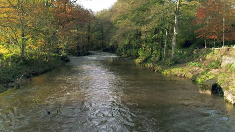 páramos del norte de york, imágenes de aviones no tripulados de yorkshire river esk, vuelo a lo largo del río, entre árboles otoñales, puente de egton, antena phantom 4 - clip de otoño 7
