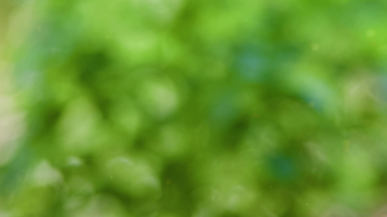 fondo de verano abstracto con bokeh