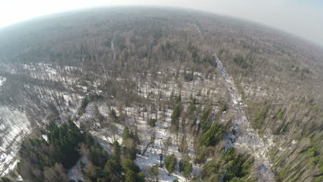 Luftpanorama-Des-Wintermischwaldes