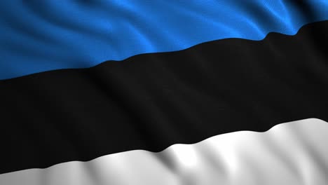 estonia flag