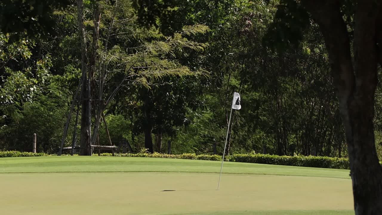A serene view of a golf putting green with a flagstick, surrounded by lush trees.