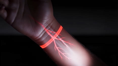 Visualization of veins in the wrist