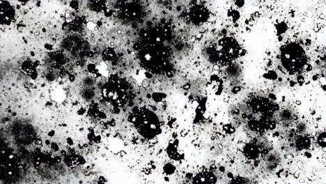 abstract black and white ink splatter texture