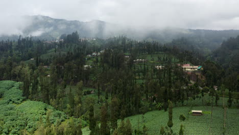 vegetable fields of east java mountain village, mist covering landscape