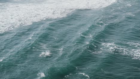 single bird flying above the ocean