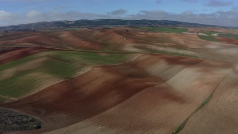 Vuelo-Sobre-Unas-Tierras-De-Cultivo-Donde-Apreciamos-Una-Espectacular-Mezcla-De-Colores-Separados-Por-Parcelas-Agrícolas:-Hay-Tonos-Verdes,-Marrones,-Blancos-Y-Rojos,-Una-Maravilla-Visual-En-La-Provincia-De-Cuenca.