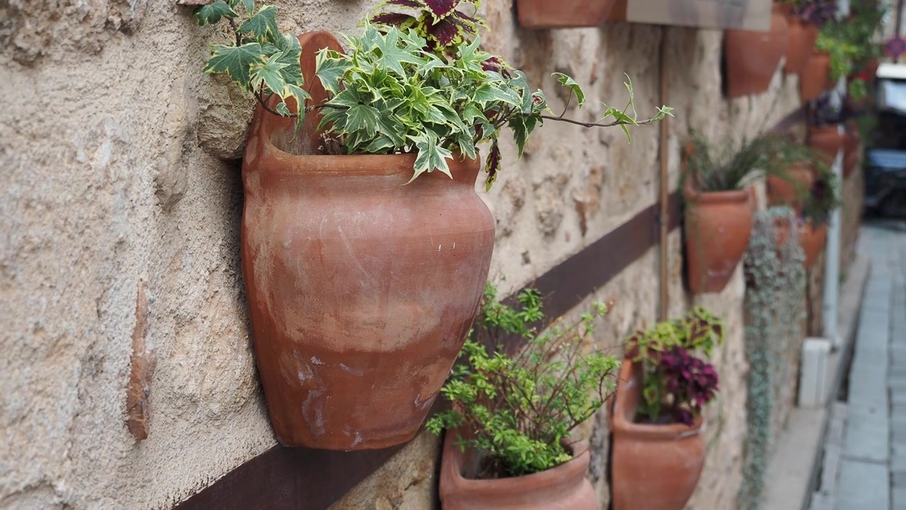 Vasi di terracotta con piante verdi appesi a un muro di pietra