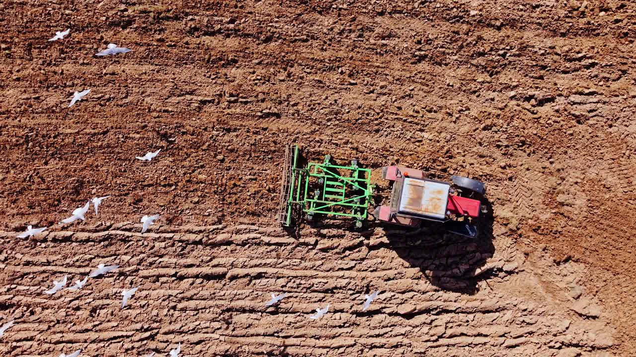 Drone of tractor plowing spring soil with seagulls flying around showing harmony