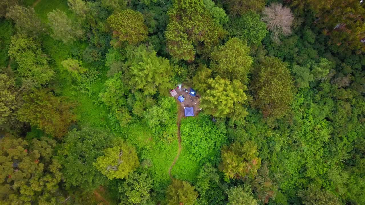 Drone slowly ascends above dense green forest revealing a small campsite with several colorful tents pitched on an island in Lake Bunyonyi, Uganda, showing wild nature and seclusion