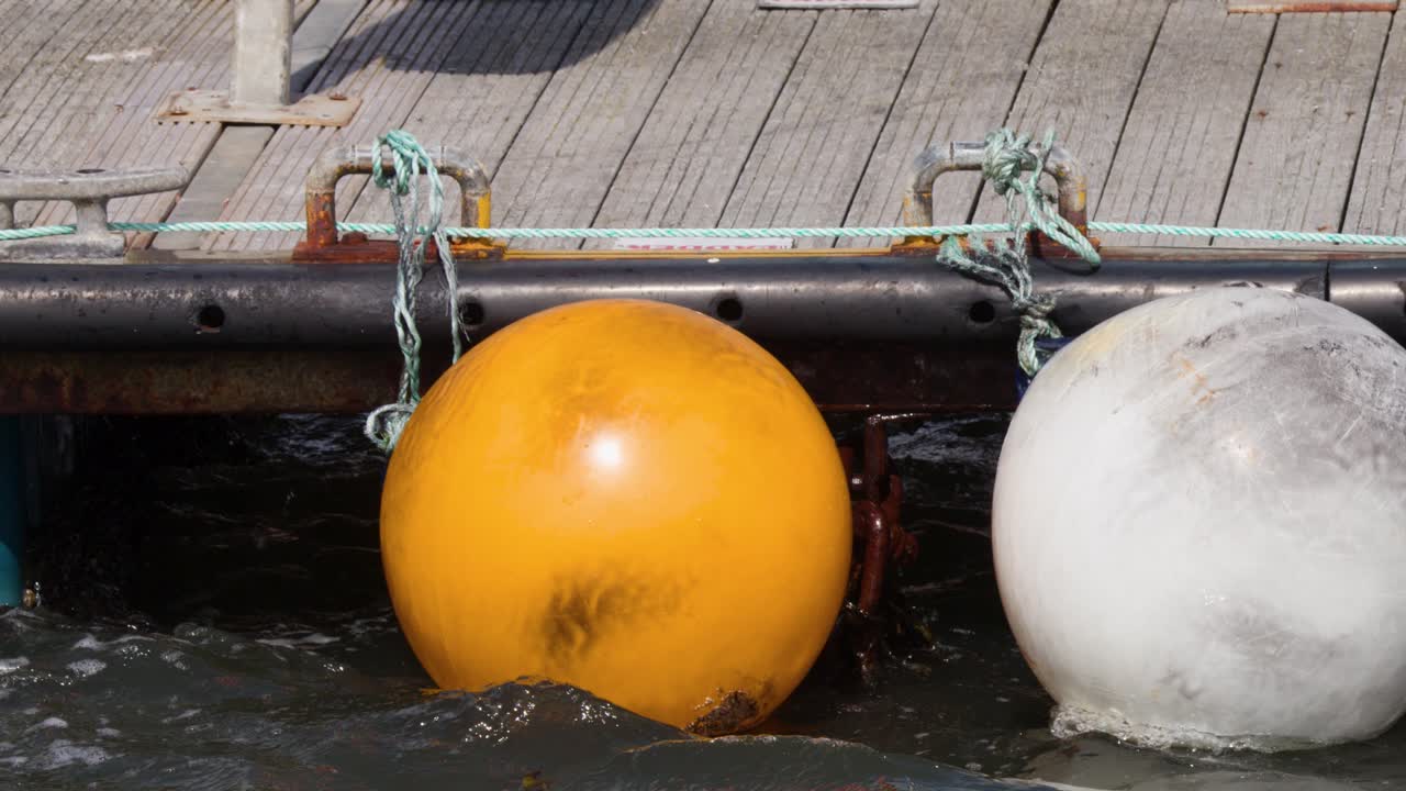 Marine buoys and boat fenders drift and collide along wooden dock, bright daylight, steady camera