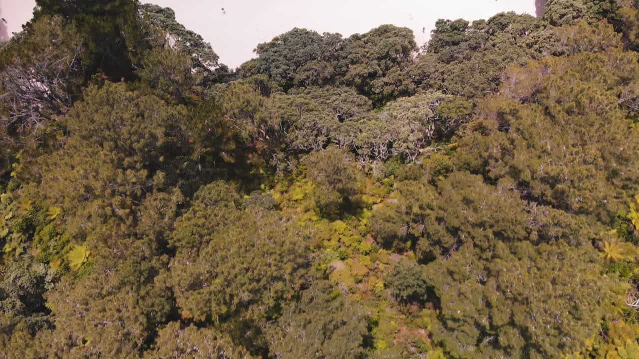 imágenes de un dron a vista de pájaro, transición suave desde el paseo de la catedral hasta la playa de la catedral, nueva zelanda