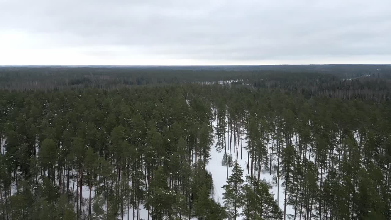 Ilmakuva metsäisestä maaseutumaisemasta talvipäivänä Virossa, Pohjois-Euroopassa